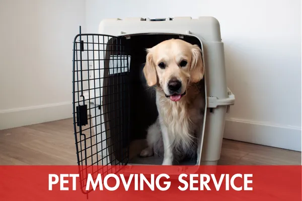 pet moving service